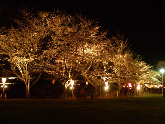 赤坂山公園観桜会