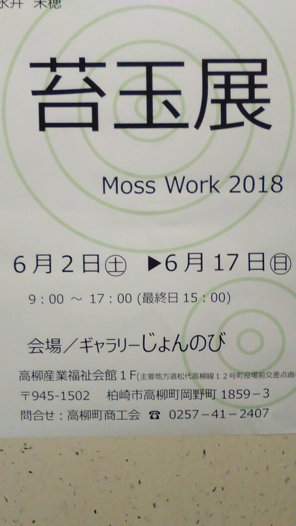苔玉展 Moss Work 2018