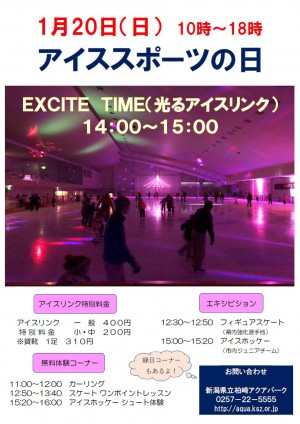 アイススポーツの日