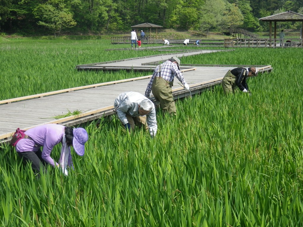 第2回森づくり活動