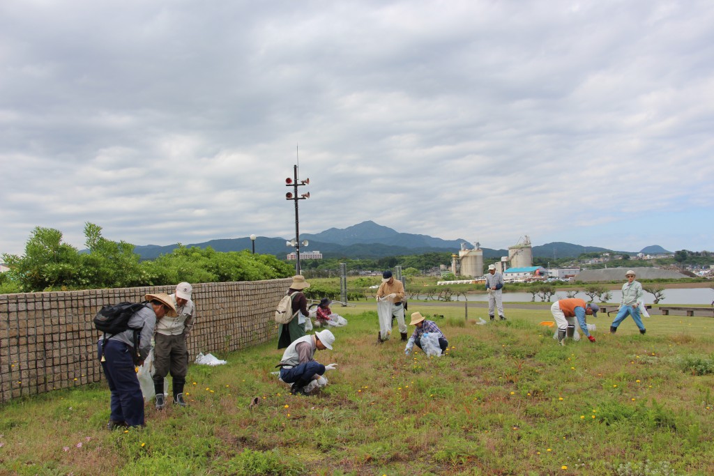 海浜植物ゾーンの整備作業と観察会