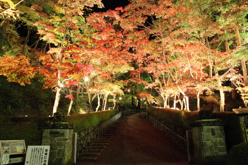 松雲山荘紅葉ライトアップ