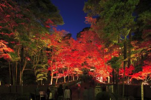 松雲山荘紅葉ライトアップ